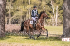 Headquarter d'Alphi Kai-Steffen MEIER