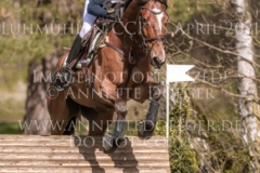 Headquarter d'Alphi Kai-Steffen MEIER