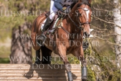 Headquarter d'Alphi Kai-Steffen MEIER