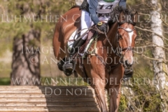 Headquarter d'Alphi Kai-Steffen MEIER