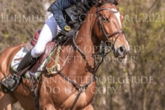 Headquarter d'Alphi Kai-Steffen MEIER