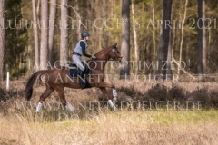 Looping Louie 15 Marcella OBERST