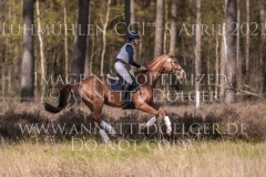 Looping Louie 15 Marcella OBERST