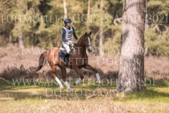 Looping Louie 15 Marcella OBERST