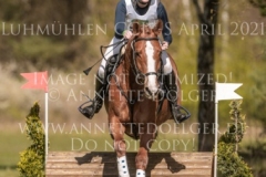 Looping Louie 15 Marcella OBERST