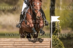 DSP Lordanus Lena PEDE