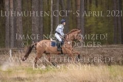 Chintano 7 Nicholas GOLDBECK