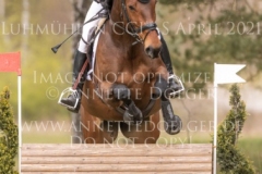 Clover's Top That Nicolai ALDINGER