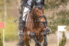 Clover's Top That Nicolai ALDINGER