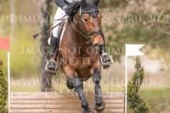 Clover's Top That Nicolai ALDINGER