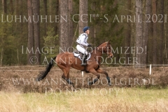 Ginger Spice 3 Josephine SCHNAUFER-VOELKEL