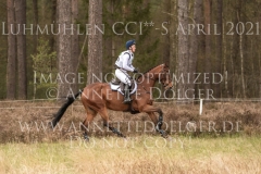 Ginger Spice 3 Josephine SCHNAUFER-VOELKEL