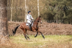 Ginger Spice 3 Josephine SCHNAUFER-VOELKEL