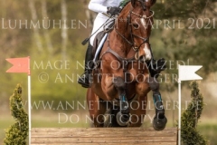 Ginger Spice 3 Josephine SCHNAUFER-VOELKEL