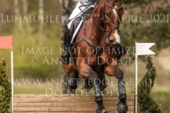 Ginger Spice 3 Josephine SCHNAUFER-VOELKEL