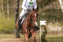 Ginger Spice 3 Josephine SCHNAUFER-VOELKEL