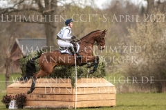 Ginger Spice 3 Josephine SCHNAUFER-VOELKEL