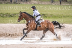 Schoensgreen Antares Anja SCHOENIGER