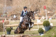 Newtownbarry Willow Finja ASCHE