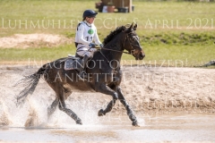 Olimond's Cuckuck Julia MESTERN