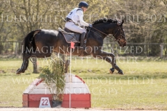 Olimond's Cuckuck Julia MESTERN