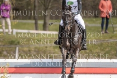 Calesco 3 Levi CORDES