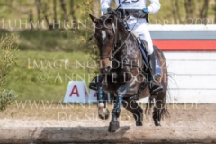 Fleure R Peter THOMSEN