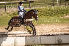 Elton VDR Henna Friederike GRUELLICH