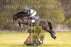 Little Bee 3 Cathrin KIRCHNER-SALZMANN