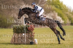 Little Bee 3 Cathrin KIRCHNER-SALZMANN