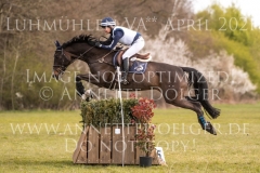 Little Bee 3 Cathrin KIRCHNER-SALZMANN