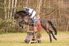 Little Bee 3 Cathrin KIRCHNER-SALZMANN