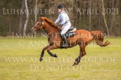 Lord Louis F Amrei DAMMANN