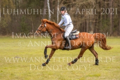 Lord Louis F Amrei DAMMANN