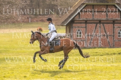 Noble Beauty Anna-Luisa MILLIES