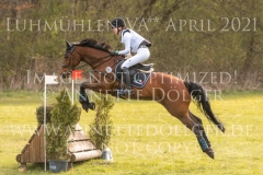 Noble Beauty Anna-Luisa MILLIES