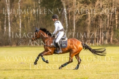 Noble Beauty Anna-Luisa MILLIES