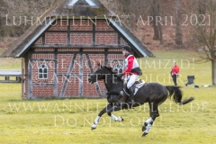 Troy 13 Finn von SCHMELING