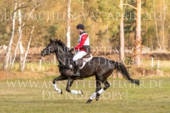 Troy 13 Finn von SCHMELING