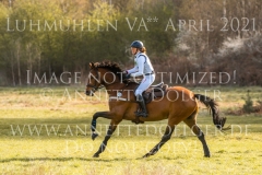 Amara 61 Nicole CLAUS