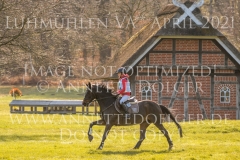 Rum Key Neel Friedrich DEHN