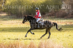 Rum Key Neel Friedrich DEHN