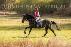 Rum Key Neel Friedrich DEHN