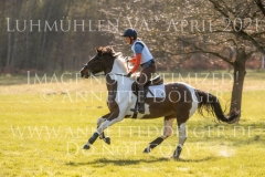 Basira 4 Maike SCHONART