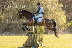 Van Helsing 20 Lilly HEUER