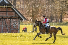 Virginia 219 Loort FLEDDERMANN