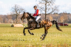 Virginia 219 Loort FLEDDERMANN