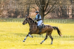 Chrystella Georg STUENKEL