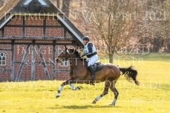 Chrystella Georg STUENKEL