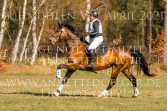 Chrystella Georg STUENKEL